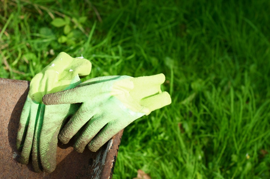 green-gardening-gloves[1]
