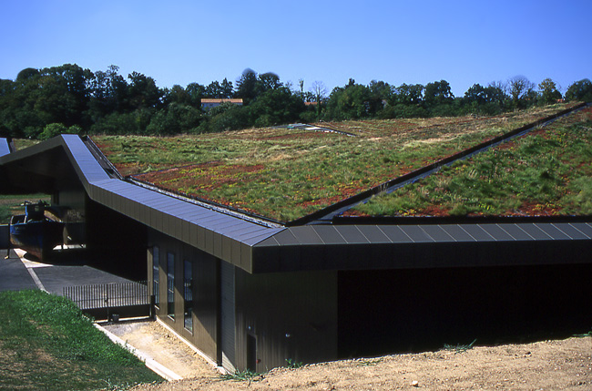 green roof3